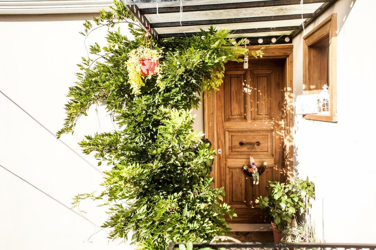 La Casa Di Caterina Casa de hóspedes Lefkáda Exterior foto